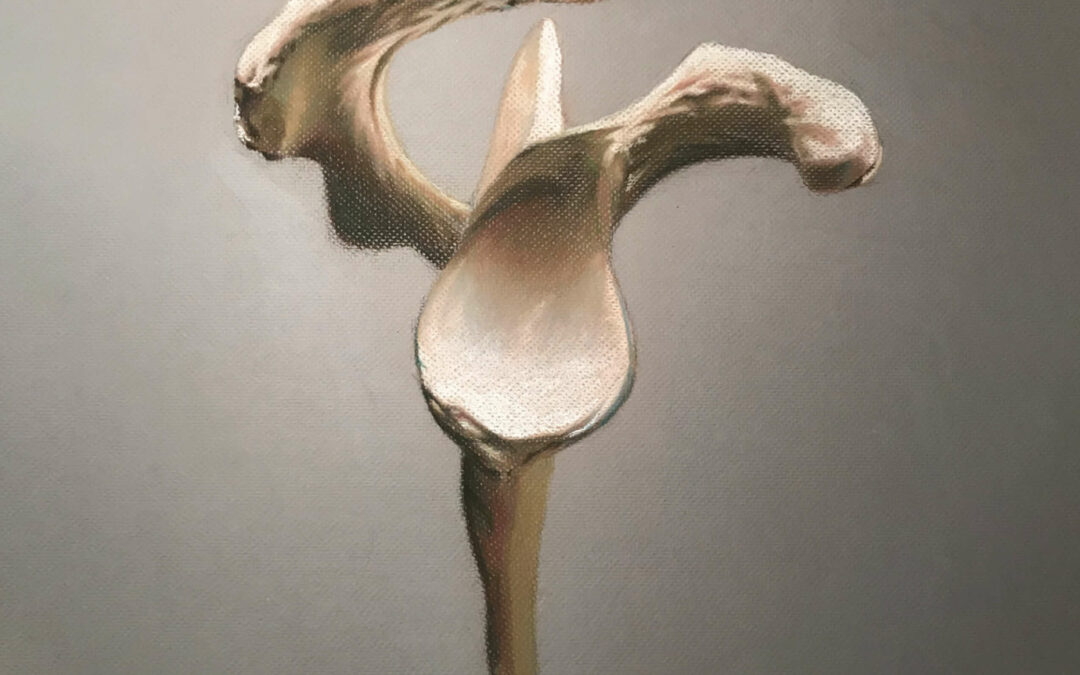 A Scapula Fracture Patient Newsletter Volume 4: Fall 2019